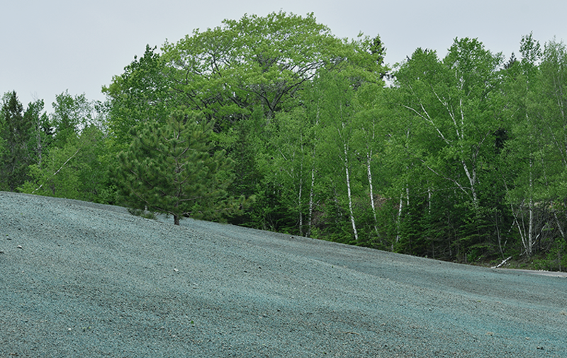 Image of commercial hydroseeding project